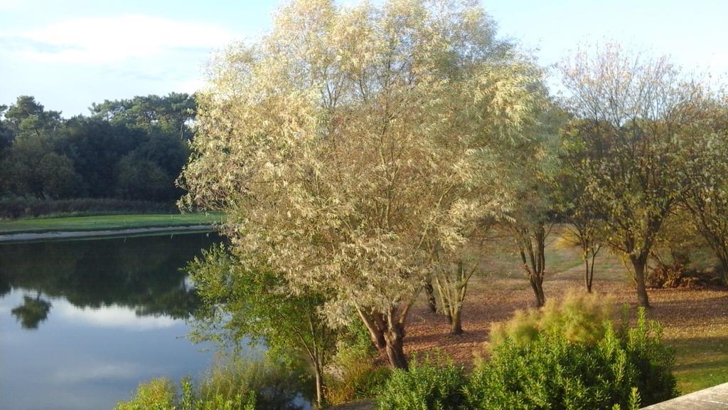 Talmont-Saint-Hilaire Studio Avec Vue Sur Lac מראה חיצוני תמונה