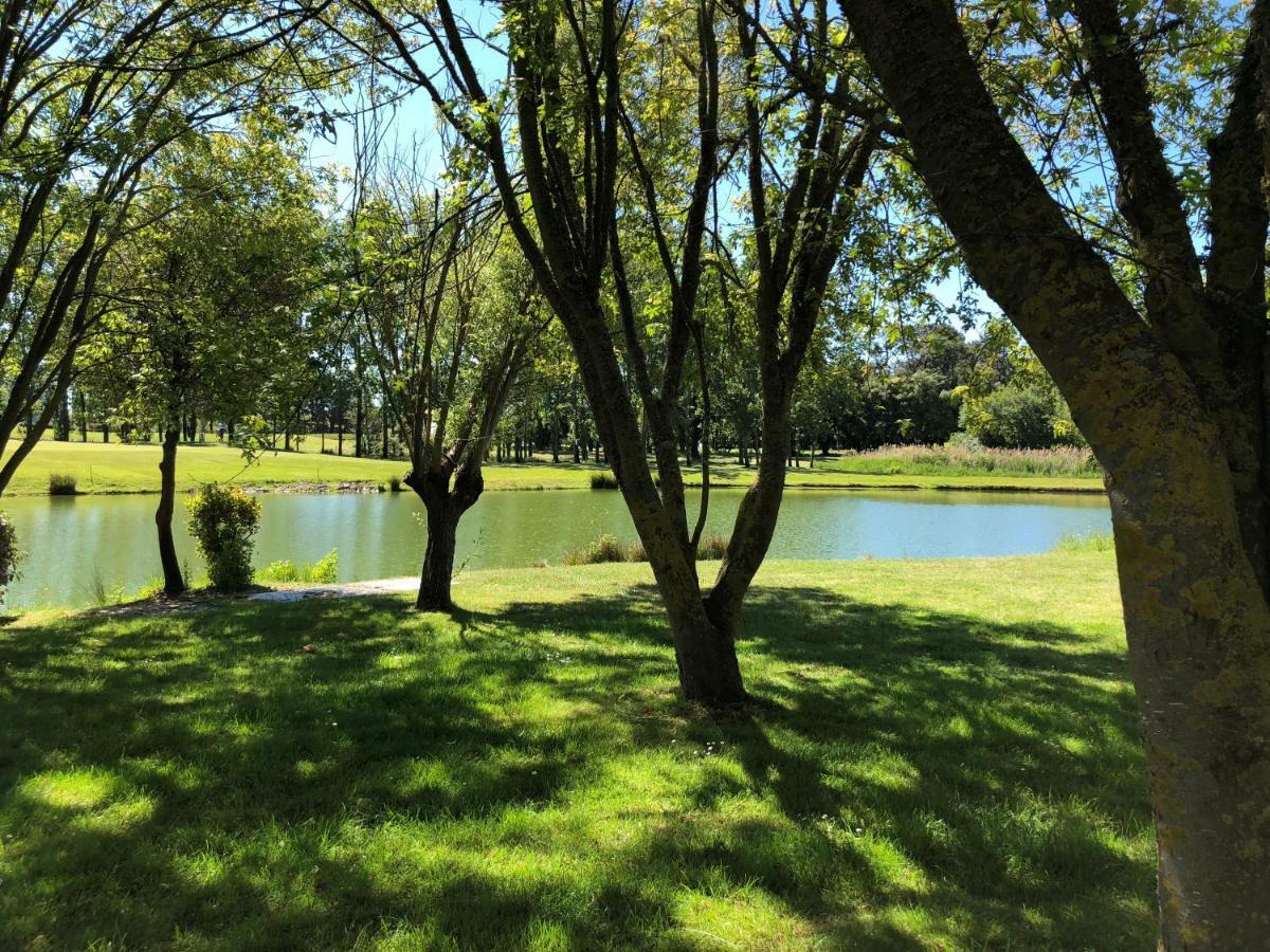 Talmont-Saint-Hilaire Studio Avec Vue Sur Lac מראה חיצוני תמונה